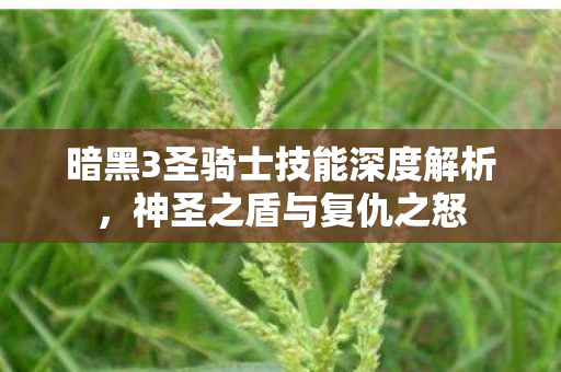 暗黑3圣骑士技能深度解析，神圣之盾与复仇之怒