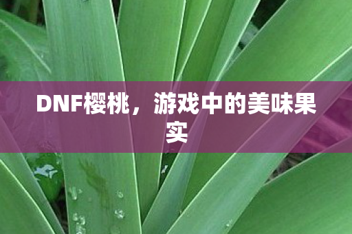 DNF樱桃，游戏中的美味果实