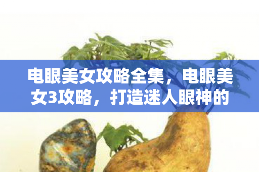 电眼美女攻略全集，电眼美女3攻略，打造迷人眼神的秘诀