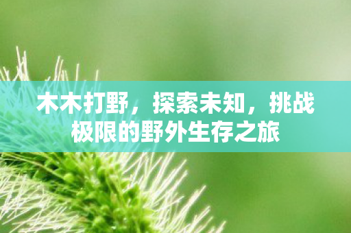 木木打野，探索未知，挑战极限的野外生存之旅