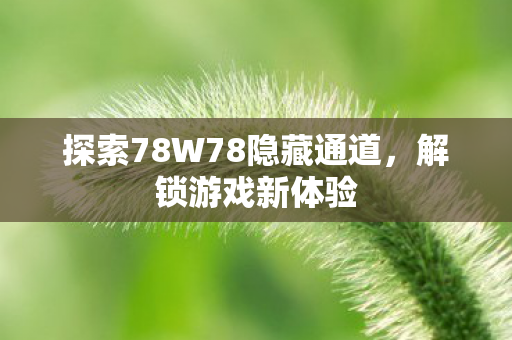 探索78W78隐藏通道，解锁游戏新体验