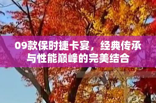 09款保时捷卡宴，经典传承与性能巅峰的完美结合