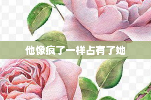 他像疯了一样占有了她