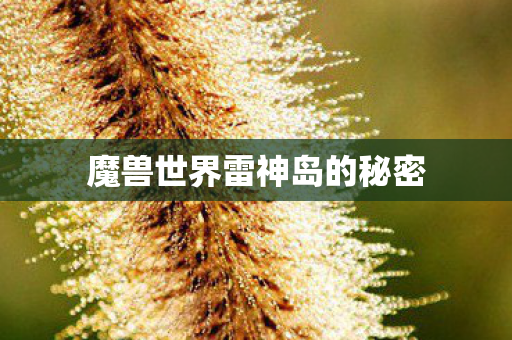 魔兽世界雷神岛的秘密