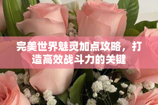 完美世界魅灵加点攻略，打造高效战斗力的关键