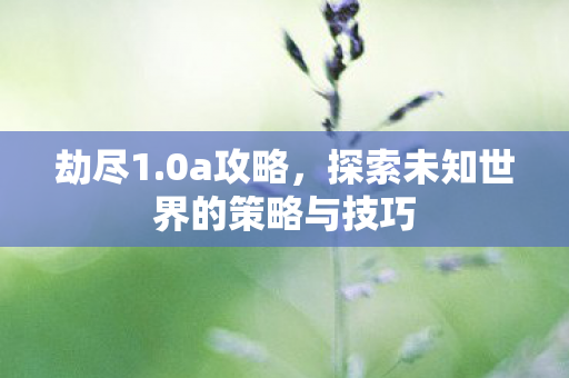 劫尽1.0a攻略，探索未知世界的策略与技巧