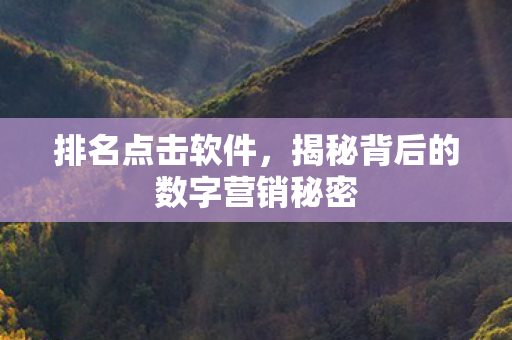 排名点击软件，揭秘背后的数字营销秘密