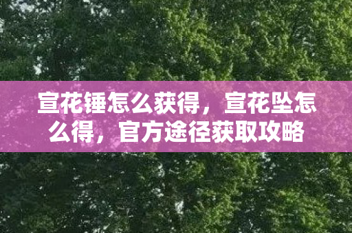 宣花锤怎么获得，宣花坠怎么得，官方途径获取攻略