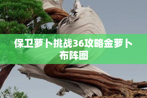 保卫萝卜挑战36攻略金萝卜布阵图