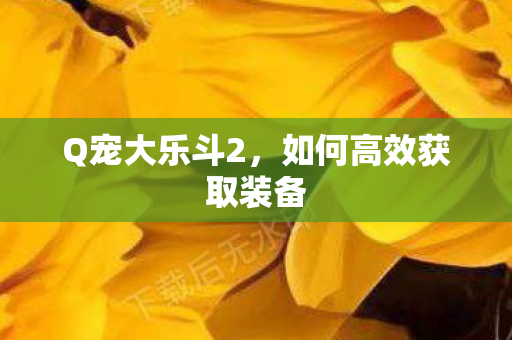 Q宠大乐斗2，如何高效获取装备