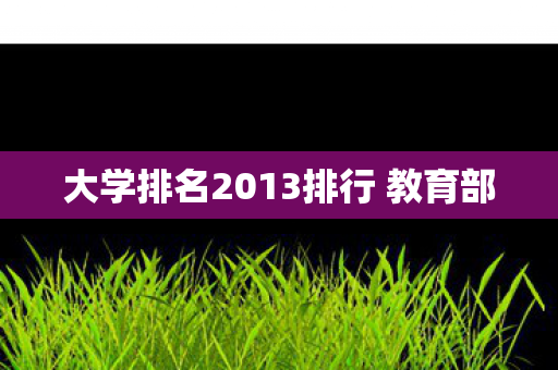 大学排名2013排行 教育部