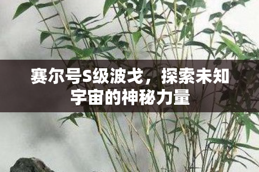 赛尔号S级波戈，探索未知宇宙的神秘力量