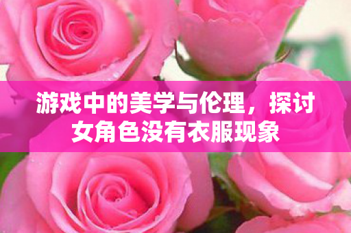 游戏中的美学与伦理，探讨女角色没有衣服现象