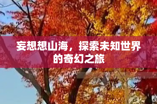 妄想想山海，探索未知世界的奇幻之旅
