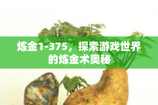 炼金1-375，探索游戏世界的炼金术奥秘
