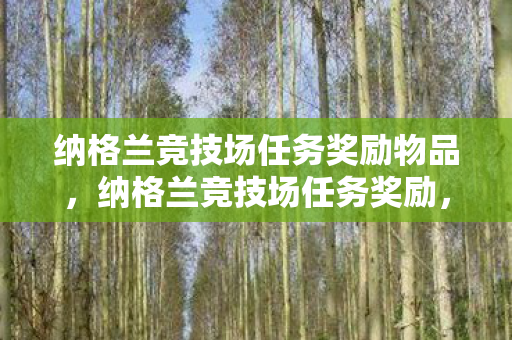 纳格兰竞技场任务奖励物品，纳格兰竞技场任务奖励，丰厚奖励背后的策略与意义