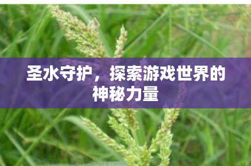 圣水守护，探索游戏世界的神秘力量