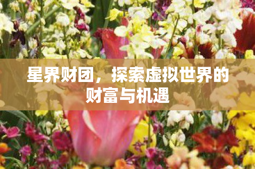 星界财团，探索虚拟世界的财富与机遇