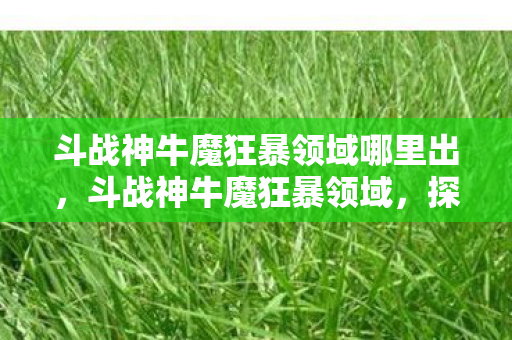 斗战神牛魔狂暴领域哪里出，斗战神牛魔狂暴领域，探索牛魔的狂暴魅力与战斗艺术