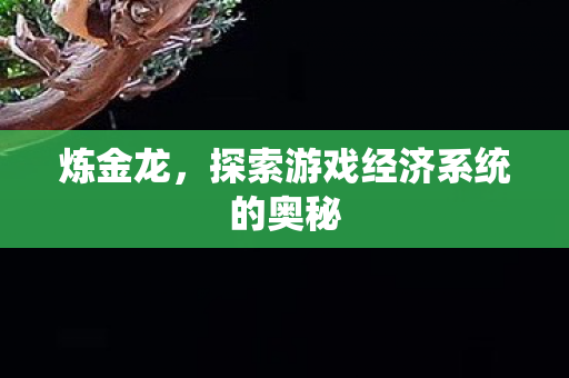 炼金龙，探索游戏经济系统的奥秘