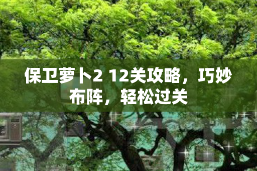 保卫萝卜2 12关攻略，巧妙布阵，轻松过关