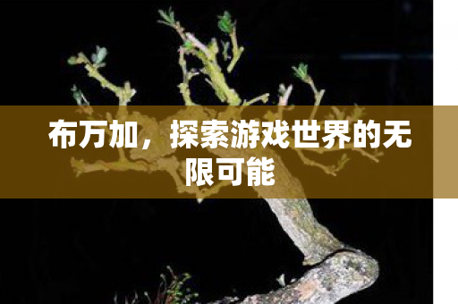 布万加，探索游戏世界的无限可能