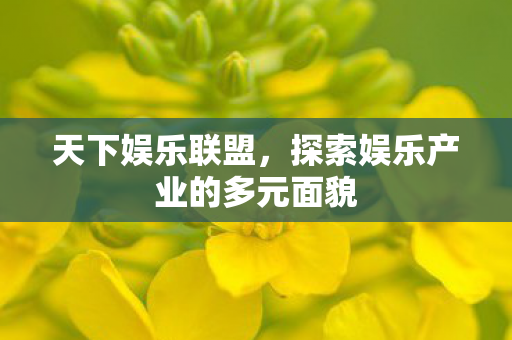 天下娱乐联盟，探索娱乐产业的多元面貌