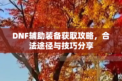 DNF辅助装备获取攻略，合法途径与技巧分享