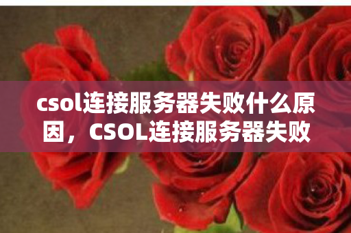 csol连接服务器失败什么原因，CSOL连接服务器失败，深度解析与解决方案