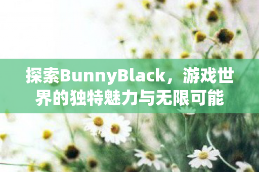 探索BunnyBlack，游戏世界的独特魅力与无限可能
