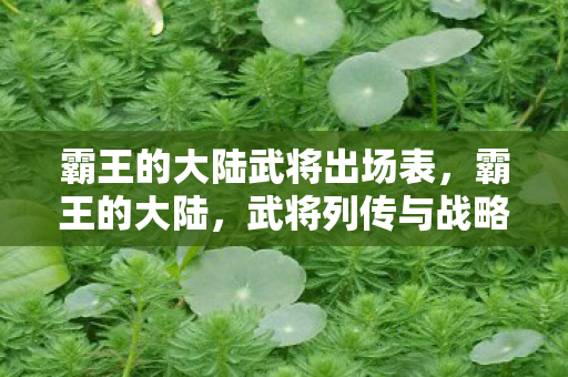 霸王的大陆武将出场表，霸王的大陆，武将列传与战略智慧