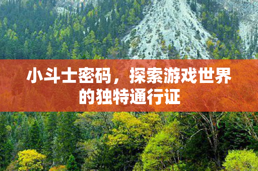 小斗士密码，探索游戏世界的独特通行证