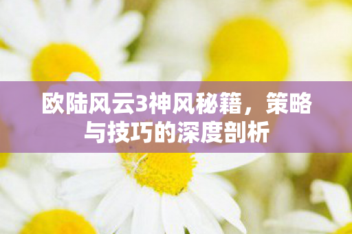 欧陆风云3神风秘籍，策略与技巧的深度剖析