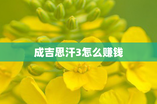 成吉思汗3怎么赚钱