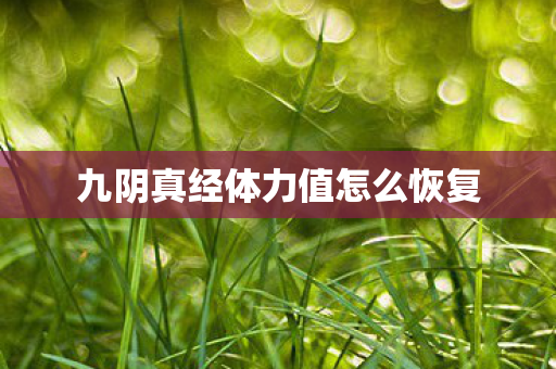 九阴真经体力值怎么恢复