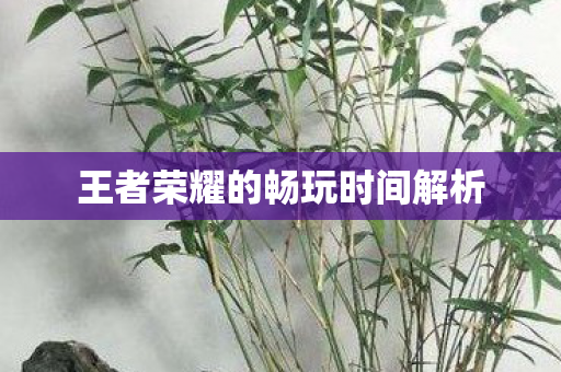 王者荣耀的畅玩时间解析