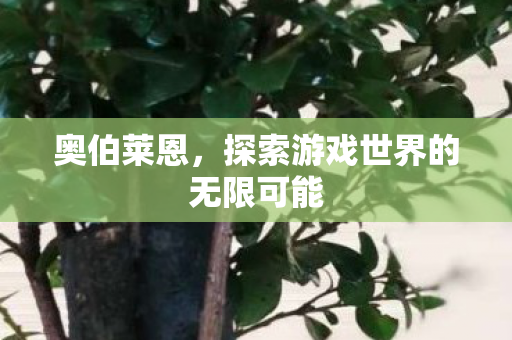 奥伯莱恩，探索游戏世界的无限可能
