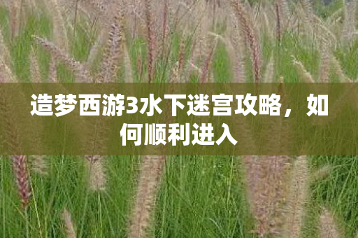 造梦西游3水下迷宫攻略，如何顺利进入