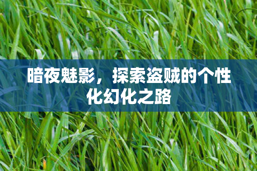 暗夜魅影，探索盗贼的个性化幻化之路