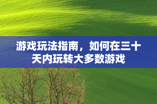 游戏玩法指南，如何在三十天内玩转大多数游戏