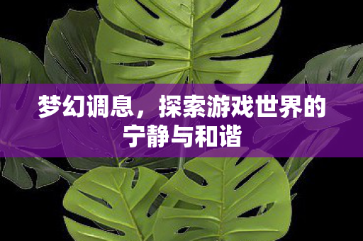 梦幻调息，探索游戏世界的宁静与和谐
