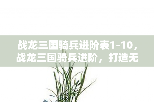 战龙三国骑兵进阶表1-10，战龙三国骑兵进阶，打造无敌铁骑，驰骋三国战场