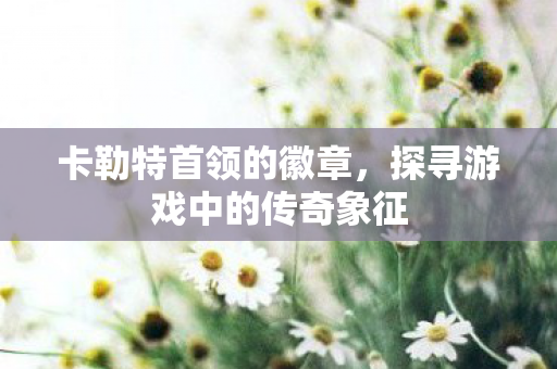 卡勒特首领的徽章，探寻游戏中的传奇象征