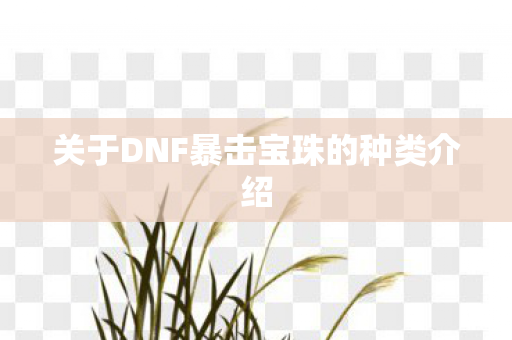 关于DNF暴击宝珠的种类介绍