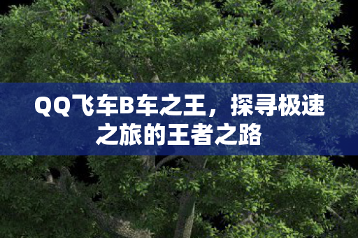 QQ飞车B车之王，探寻极速之旅的王者之路
