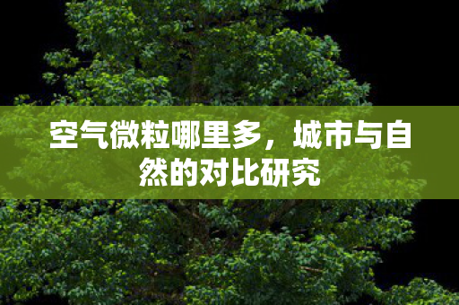 空气微粒哪里多，城市与自然的对比研究
