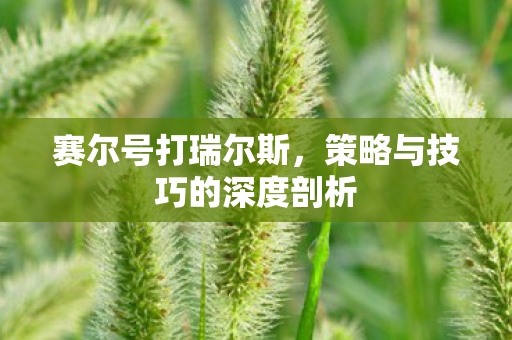 赛尔号打瑞尔斯，策略与技巧的深度剖析