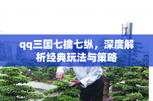 qq三国七擒七纵，深度解析经典玩法与策略