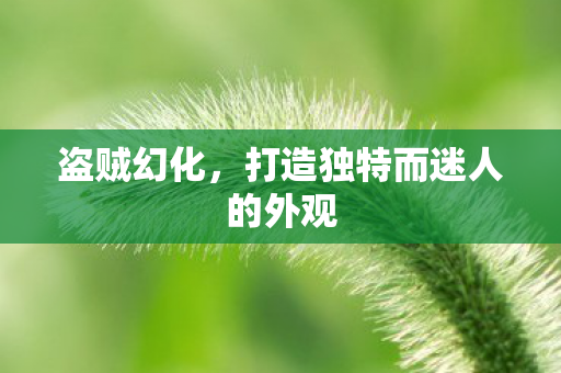 盗贼幻化，打造独特而迷人的外观