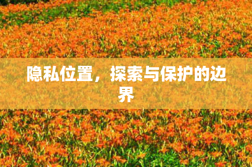 隐私位置，探索与保护的边界